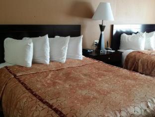 Best Western Oakbrook Inn Oakbrook Terrace Rom bilde